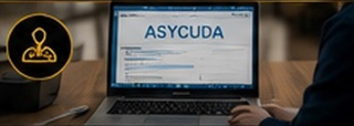 Customs System Expertise